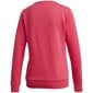 Džemperis Adidas Essentials Linear Crewneck W GD2955, 64588 kaina ir informacija | Džemperiai moterims | pigu.lt