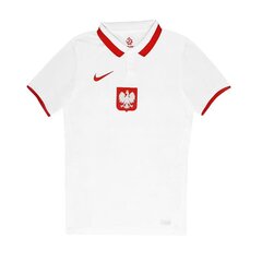 Nike спортивная футболка Poland Breathe Home Polo M CD0722 100, белая цена и информация | Мужская спортивная одежда | pigu.lt