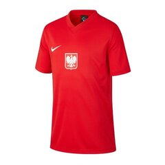 Sportiniai marškinėliai Nike Poland Breathe Jr CD1207 688 kaina ir informacija | Marškinėliai berniukams | pigu.lt