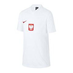 Спортивная футболка Nike Poland Breathe Jr CD1207 100 цена и информация | Рубашки для мальчиков | pigu.lt