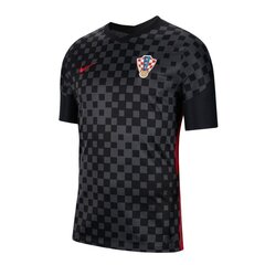 Мужская спортивная футболка Nike Croatia Breathe Stadium Away 20/21 M CD0694- 060 (65238) цена и информация | Мужская спортивная одежда | pigu.lt