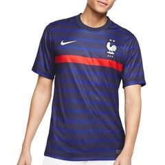 Мужская спортивная футболка Nike France Stadium Home 20/21 M CD0700-498 Tee (65255) цена и информация | Мужские термобрюки, темно-синие, SMA61007 | pigu.lt
