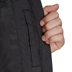 Kуртка adidas  BSC Insulated Hooded цена и информация | Мужские куртки | pigu.lt