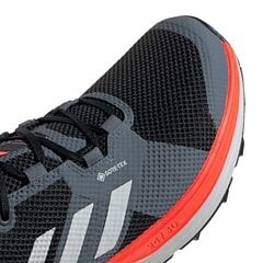 Мужские походные ботинки, Adidas Terrex Two GTX M EH1833 черные/серые цена и информация | Мужские кроссовки | pigu.lt