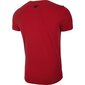 Sportiniai marškinėliai vyrams 4F M NOSH4 TSM005 62S kaina ir informacija | Sportinė apranga vyrams | pigu.lt