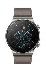 Huawei Watch GT 2 Pro Nebula Gray kaina ir informacija | Huawei Išmanieji laikrodžiai, apyrankės | pigu.lt