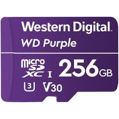 MEMORY MICRO SDXC 256GB UHS-I/WDD256G1P0C WDC цена и информация | Карты памяти для фотоаппаратов, камер | pigu.lt