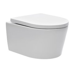 Pakabinamas WC Swiss Aqua Technologies Brevis kaina ir informacija | Klozetai | pigu.lt