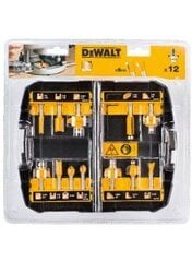 Набор фрез по дереву Dewalt DT90016, 12 шт. цена и информация | Механические инструменты | pigu.lt