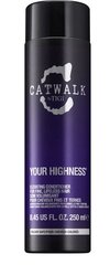 Бальзам для волос Tigi Catwalk Your Highness, 250 мл цена и информация | Бальзамы, кондиционеры | pigu.lt