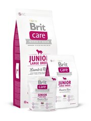 Сухой корм Brit Care Junior Large Breed Lamb & Rice для щенков и молодых собак крупных пород, 3 кг цена и информация |  Сухой корм для собак | pigu.lt