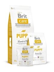 Brit Care Puppy Lamb & Rice полноценный корм для собак 12кг цена и информация |  Сухой корм для собак | pigu.lt