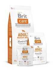 Сухой корм Brit Care Adult Medium Breed Lamb & Rice для собак средних пород, 3 kg цена и информация | Сухой корм для собак | pigu.lt