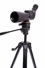 Focus Hawk 20-60X60 + TRIPOD 3950 цена и информация | Бинокль | pigu.lt