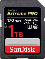 SanDisk SDSDXXY-1T00-GN4IN цена и информация | Карты памяти для фотоаппаратов, камер | pigu.lt