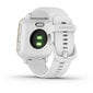 Garmin Venu® Sq Light Gold/White kaina ir informacija | Išmanieji laikrodžiai (smartwatch) | pigu.lt
