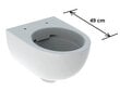 Komplektas pakabinamo klozeto Geberit SELNOVA COMPAQ Rimfree ir Delta WC rėmu ir mygtuku baltos spalvos kaina ir informacija | Klozetai | pigu.lt