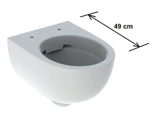 Komplektas pakabinamo klozeto Geberit SELNOVA COMPAQ Rimfree 49 cm ir Delta WC rėmu ir mygtuku chromo spalvos kaina ir informacija | Klozetai | pigu.lt