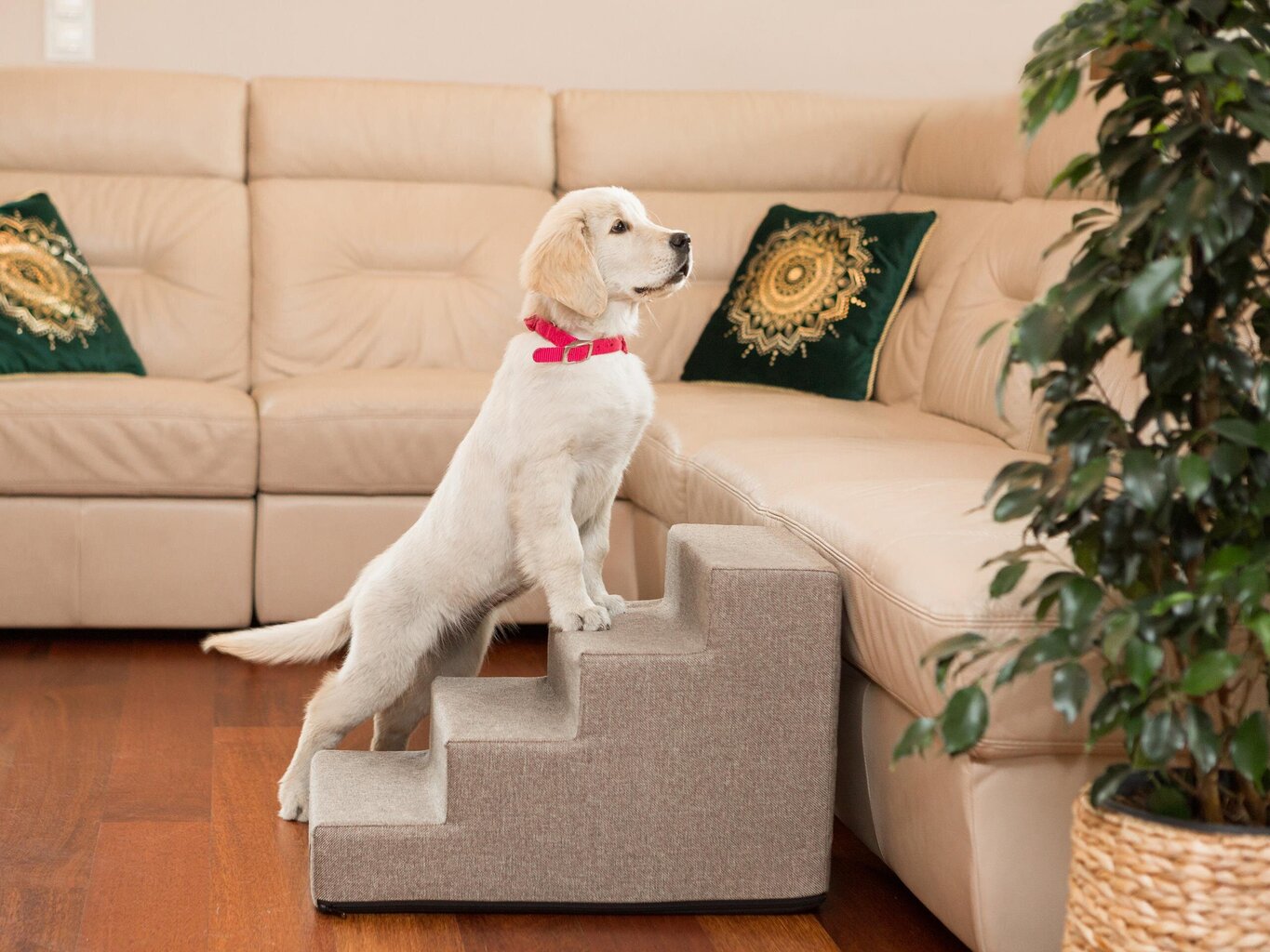 Hobbydog laiptai Inarii 4, cappuccino, 60x40x40 cm kaina ir informacija | Guoliai, pagalvėlės | pigu.lt