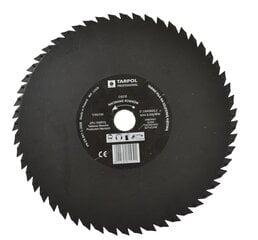 230 x 22.2 mm diskinio pjūklo diskas Tarpol Rasp fi T-30 kaina ir informacija | Šlifuokliai | pigu.lt