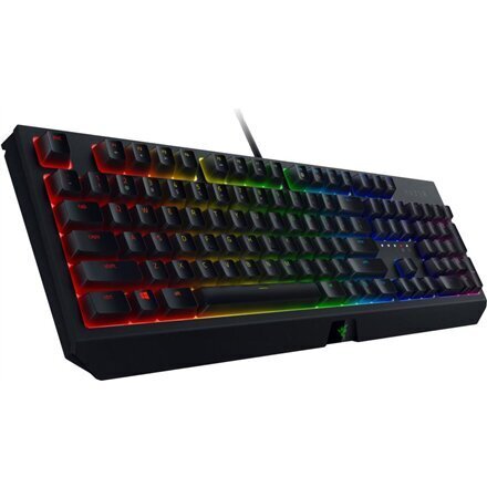 Razer BlackWidow V3 Tenkeyless NO kaina ir informacija | Klaviatūros | pigu.lt