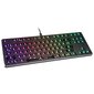 Glorious PC Gaming Race GMMK TKL 75-80% kaina ir informacija | Klaviatūros | pigu.lt