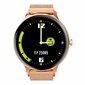 Blackview X2 Gold kaina ir informacija | Išmanieji laikrodžiai (smartwatch) | pigu.lt