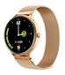 Blackview X2 Gold kaina ir informacija | Išmanieji laikrodžiai (smartwatch) | pigu.lt