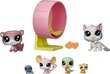 Figurėlių rinkinys Žaidimų namelis Hasbro Littlest Pet Shop kaina ir informacija | Žaislai mergaitėms | pigu.lt