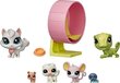 Figurėlių rinkinys Žaidimų namelis Hasbro Littlest Pet Shop kaina ir informacija | Žaislai mergaitėms | pigu.lt