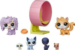 Figurėlių rinkinys Žaidimų namelis Hasbro Littlest Pet Shop kaina ir informacija | Žaislai mergaitėms | pigu.lt