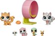 Figurėlių rinkinys Žaidimų namelis Hasbro Littlest Pet Shop kaina ir informacija | Žaislai mergaitėms | pigu.lt