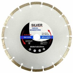 Алмазный диск для быстрой резки очень твердых и среднетвердых строительных материалов цена и информация | Механические инструменты | pigu.lt