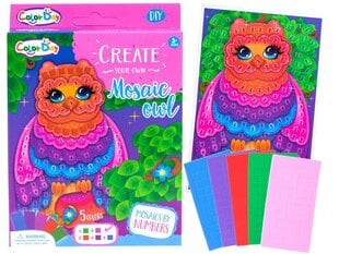 Красочная мозаика-Сова Color Day цена и информация | Развивающие игрушки | pigu.lt
