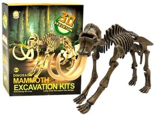 Комплект археолога - мамонт Excavation Kits цена и информация | Развивающие игрушки | pigu.lt