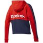 Džemperis su kapišonu moterims Reebok Te Linear Logo Ft W FT0901 цена и информация | Džemperiai moterims | pigu.lt