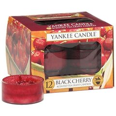 Kvapiosios arbatinės žvakės Yankee Candle Black Cherry 9.8 g, 12 vnt. kaina ir informacija | Žvakės, Žvakidės | pigu.lt