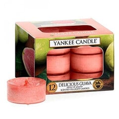 Kvapiosios arbatinės žvakės Yankee Candle Delicious Guava 9,8 g, 12 vnt. kaina ir informacija | Žvakės, Žvakidės | pigu.lt