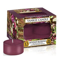 Aromatinė žvakė Moonlit Blossoms 12 x 9,8 g kaina ir informacija | Žvakės, Žvakidės | pigu.lt