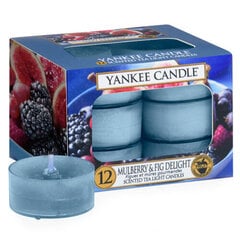 Kvapiujų žvakių rinkinys Yankee Candle Mulberry & Fig Delight Candle, 12 x 9.8g kaina ir informacija | Žvakės, Žvakidės | pigu.lt