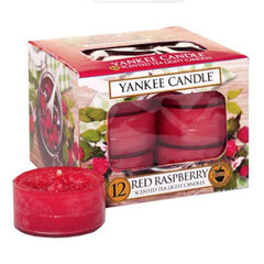 Свеча Yankee Candle, 12 шт цена и информация | Подсвечники, свечи | pigu.lt