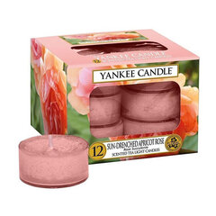 Kvapiosios arbatinės žvakės Yankee Candle Sun-Drenched Apricot Rose 9.8 g, 12 vnt. kaina ir informacija | Žvakės, Žvakidės | pigu.lt