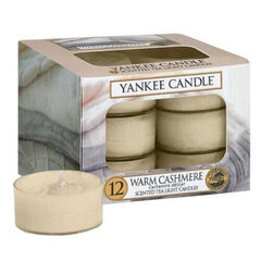 Žvakė Yankee Candle, 12 vnt. kaina ir informacija | Žvakės, Žvakidės | pigu.lt