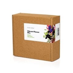 Click and Grow Smart Garden Refill 9 pakuočių įvairių gėlių rinkinys kaina ir informacija | Daigyklos | pigu.lt