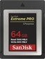 SanDisk SDCFE-064G-GN4NN цена и информация | Atminties kortelės fotoaparatams, kameroms | pigu.lt