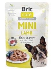 Brit Care Mini pouch Lamb fillets in gravy влажный корм для собак 85г цена и информация | Консервы для собак | pigu.lt