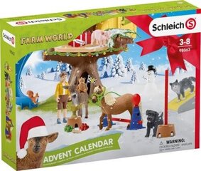 Календарь Адвент Schleich Farm World 98063 цена и информация | Конструкторы и кубики | pigu.lt