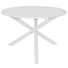Valgomojo stalas, 120x75cm, baltas kaina ir informacija | Virtuvės ir valgomojo stalai, staliukai | pigu.lt