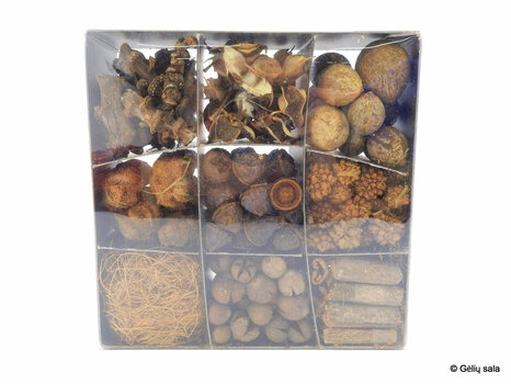 Набор сушеных растений в коробке натуральный цена и информация | Рождественские украшения | pigu.lt