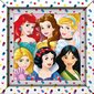 Dėlionė su rėmeliu Clementoni Disney Princess, 60 d. цена и информация | Dėlionės (puzzle) | pigu.lt